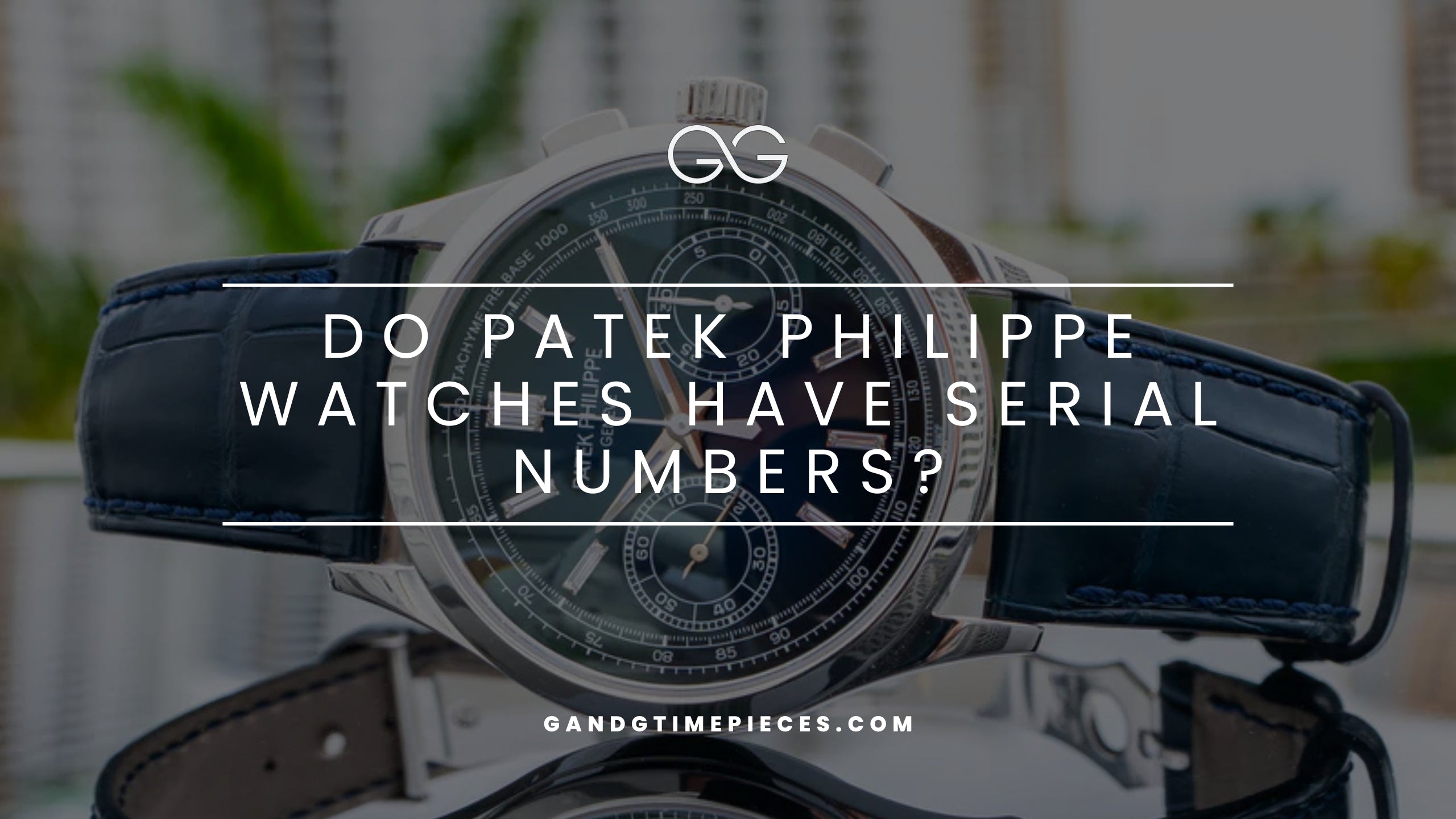 Do Patek Philippe Watches Have Serial Numbers?