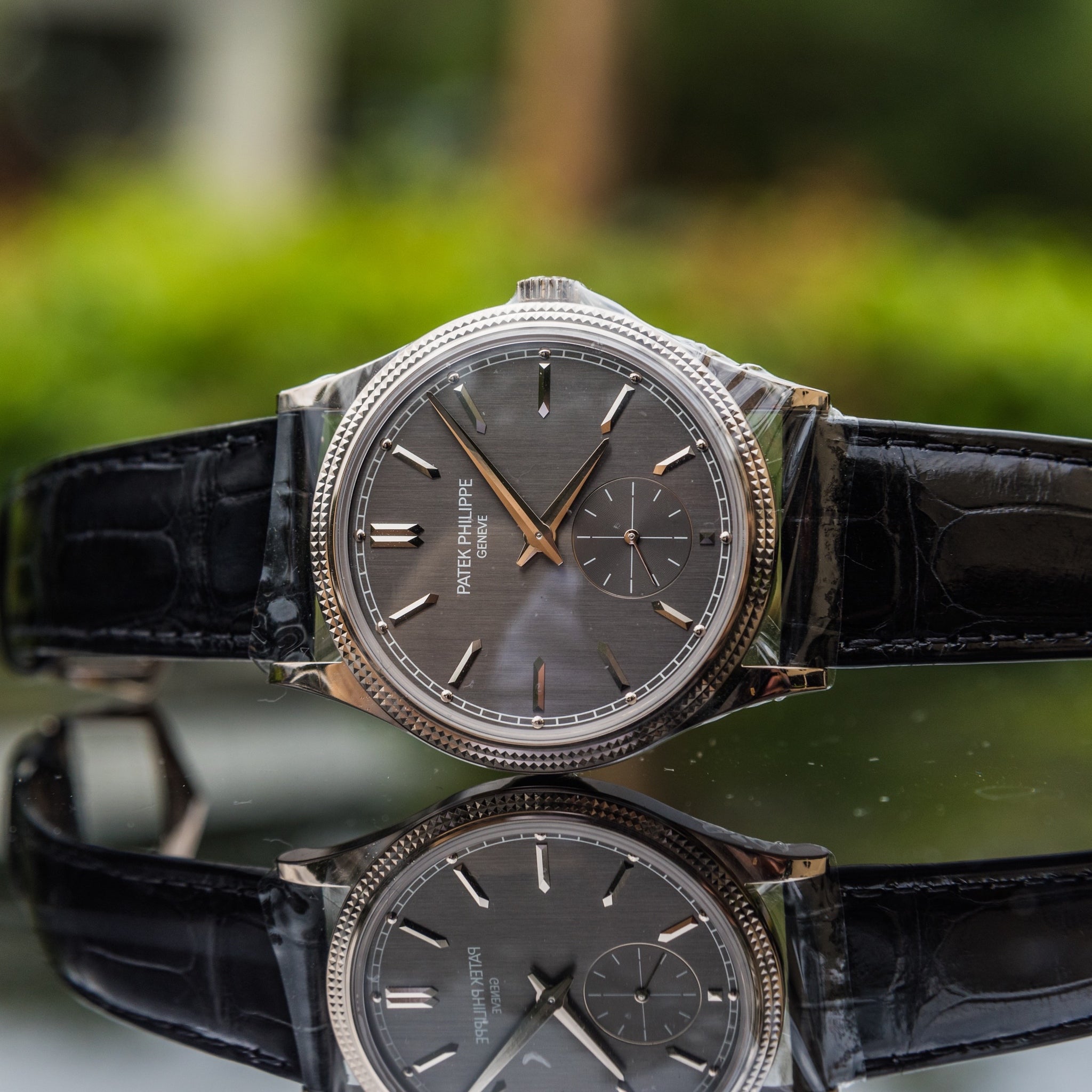 Patek Philippe 2022 Calatrava 6119G