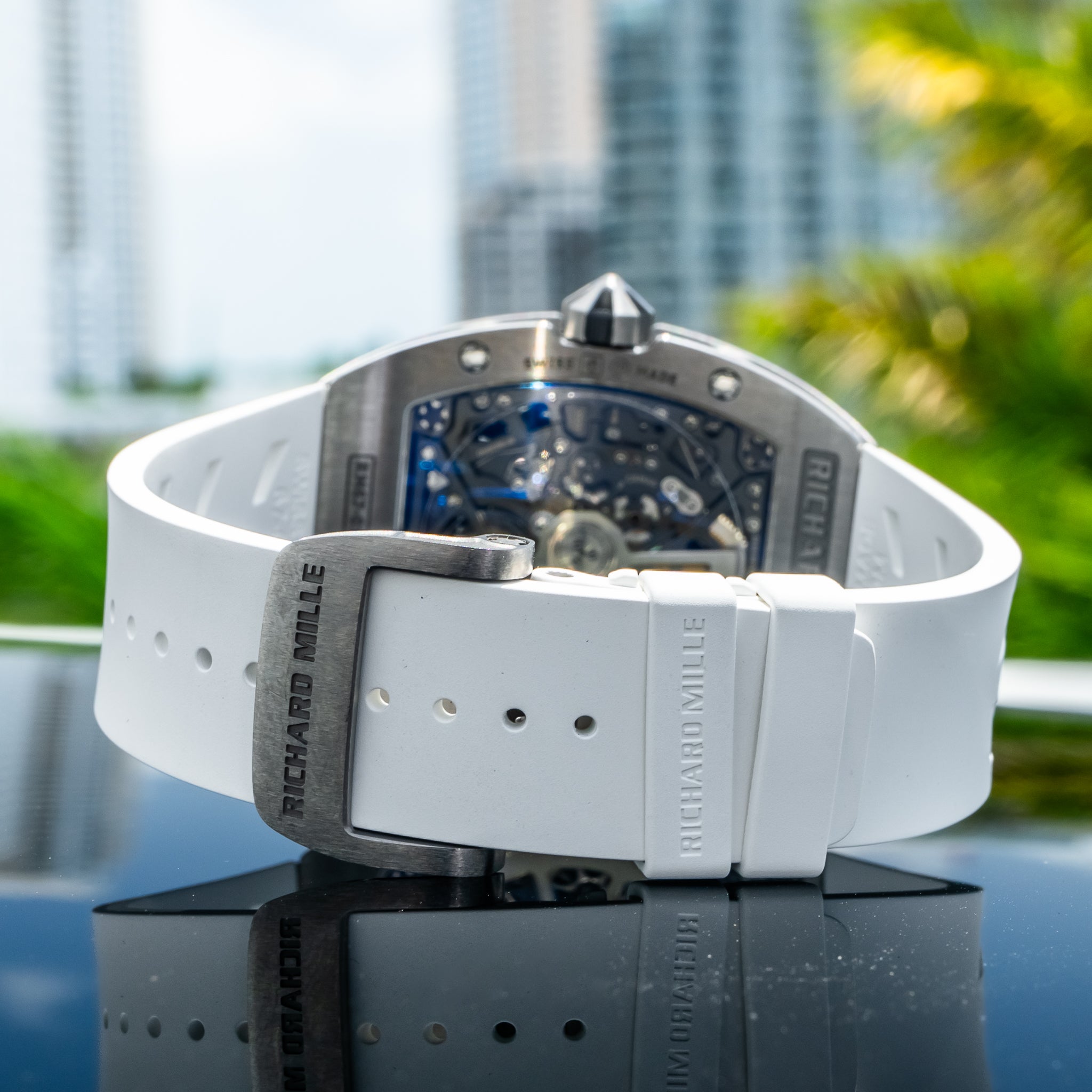 2017 Richard Mille RM67-01 Titanium