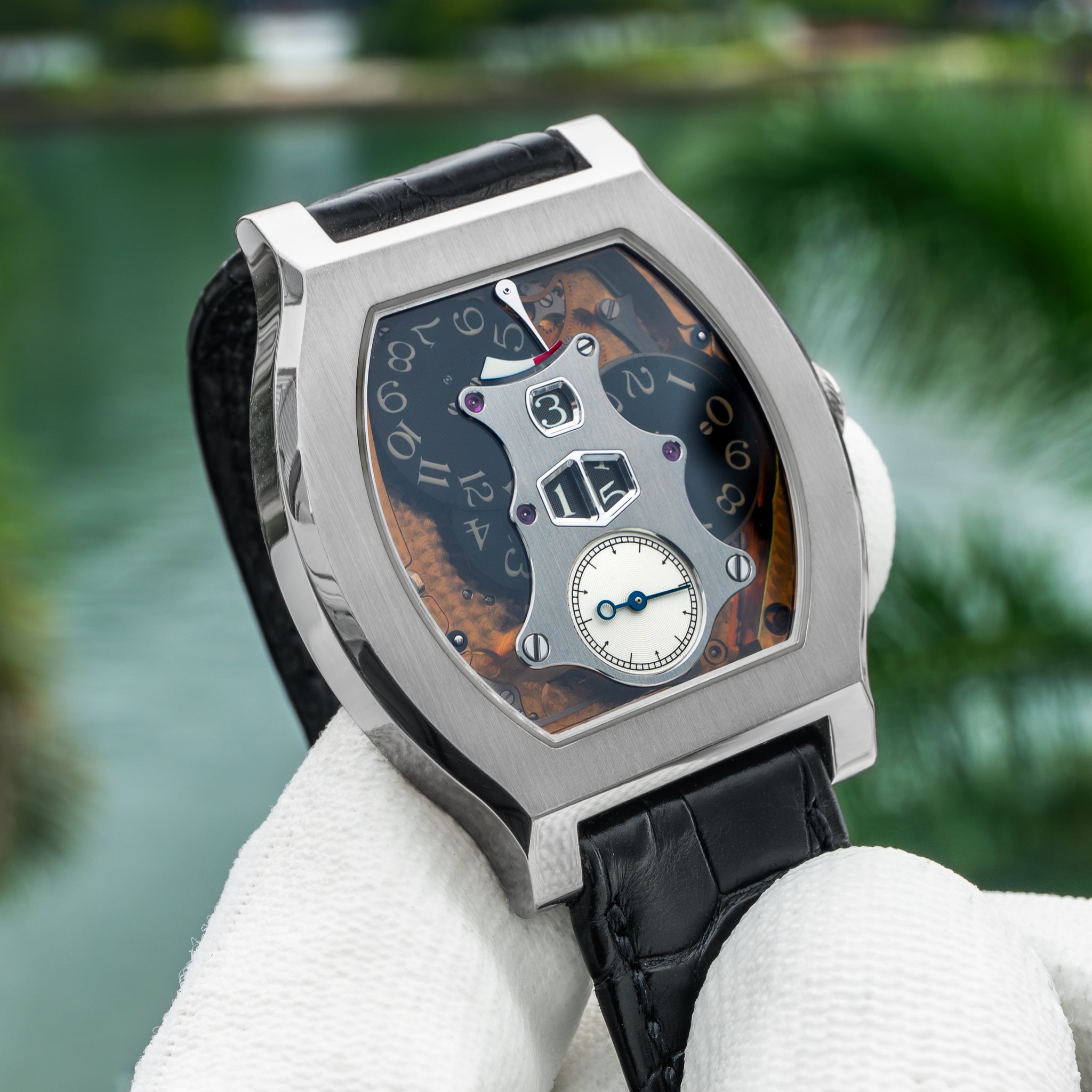 F.P. Journe Vagabondage II Platinum