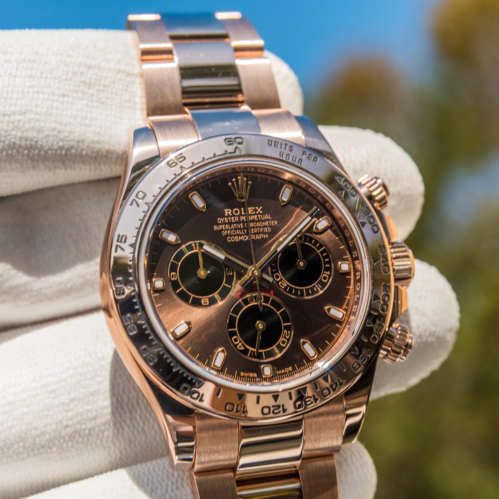 Rolex daytona rose top gold chocolate dial price