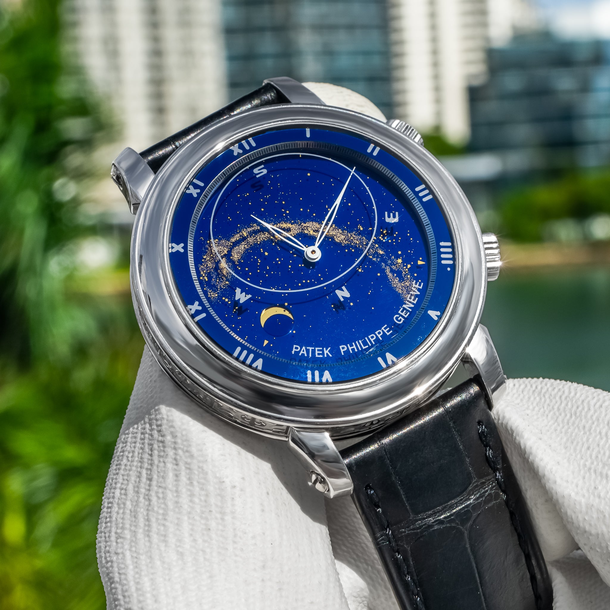 2003 Patek Philippe 5102G Grand Complications Celestial