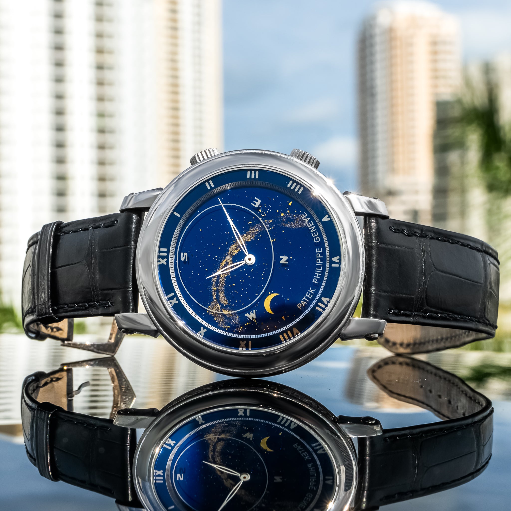 2003 Patek Philippe 5102G Grand Complications Celestial