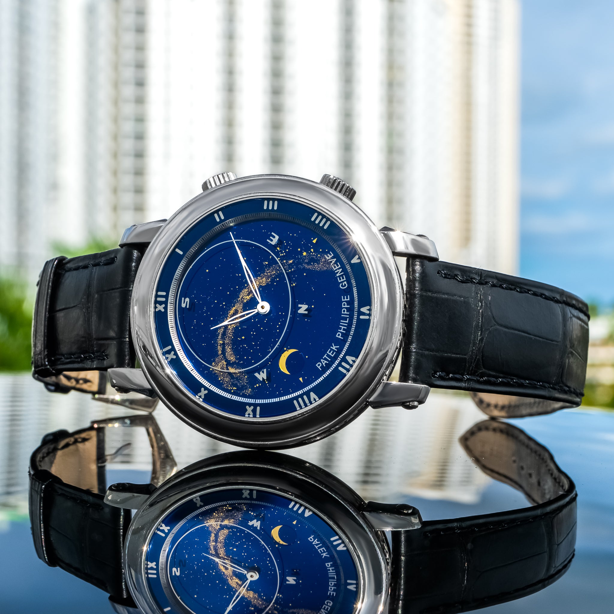 2003 Patek Philippe 5102G Grand Complications Celestial