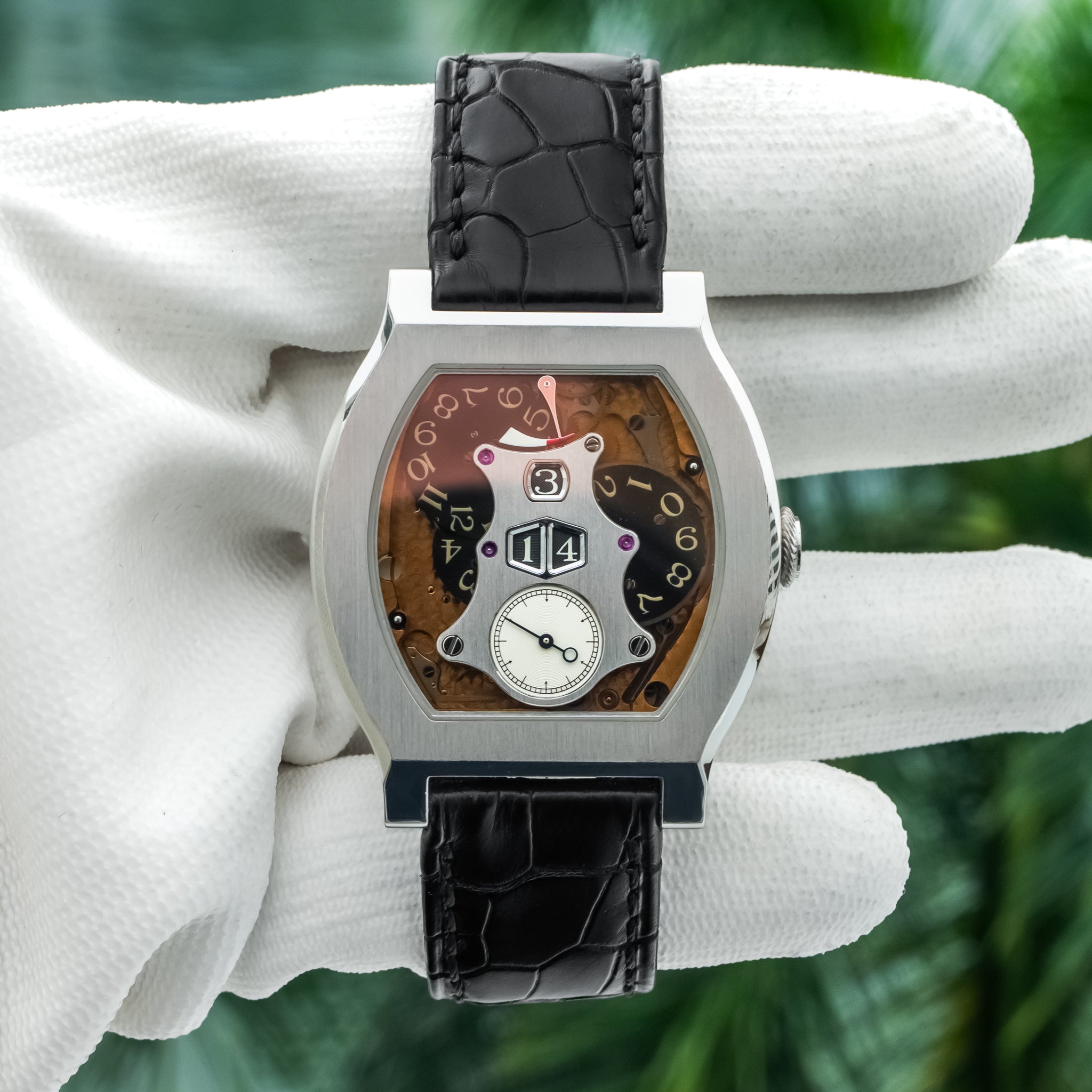 F.P. Journe Vagabondage II Platinum