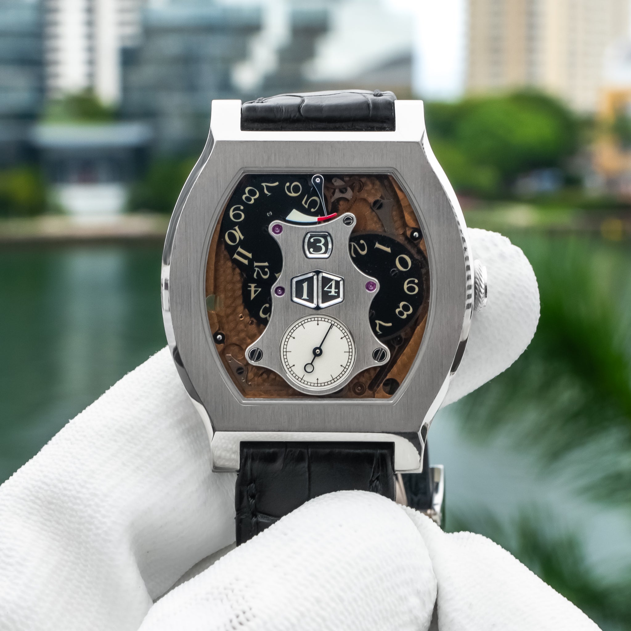 F.P. Journe Vagabondage II Platinum