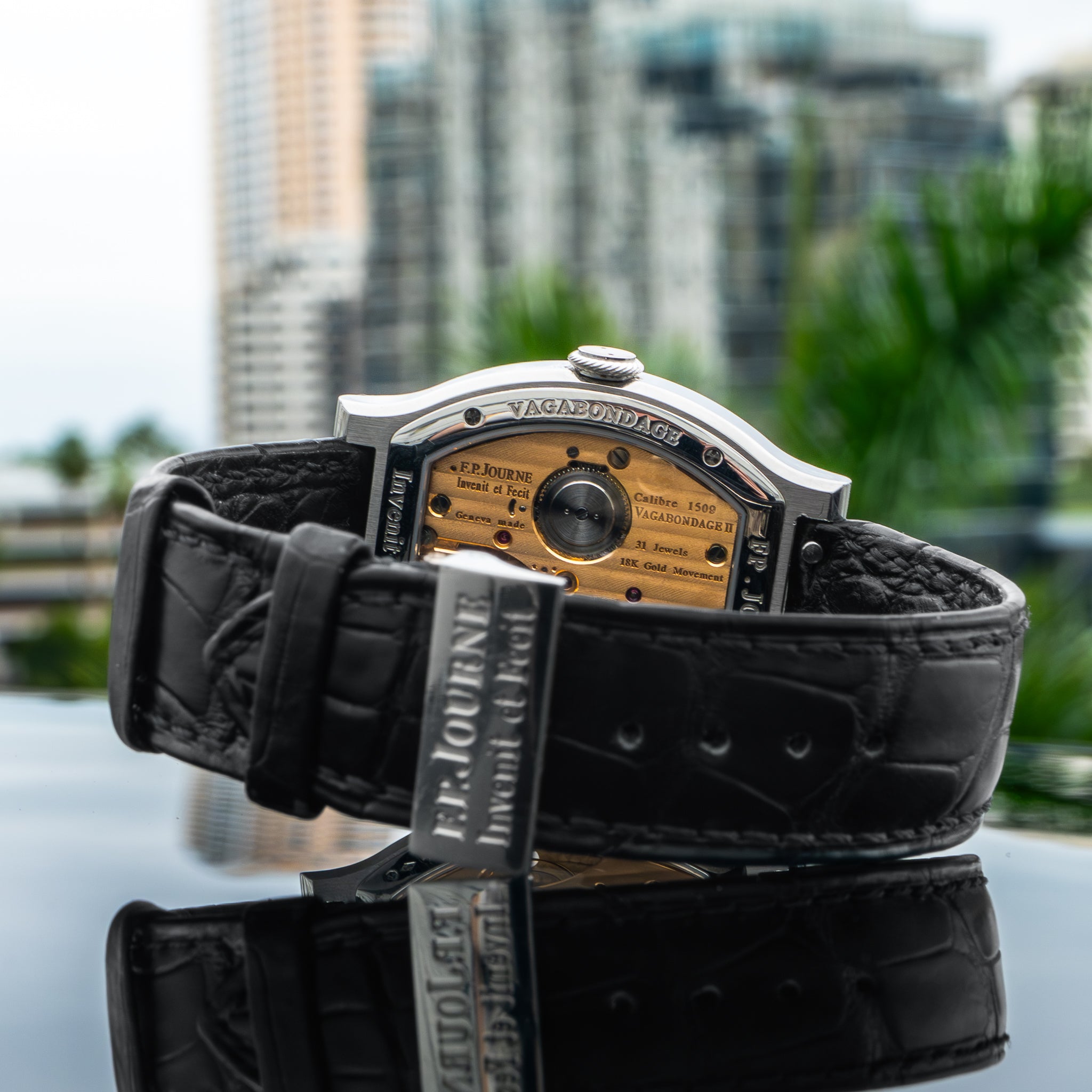 F.P. Journe Vagabondage II Platinum